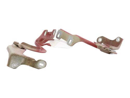 Hinge/Door check strap PEUGEOT 208 II (UB_, UP_, UW_, UJ_) e-208 | BP31051913C146