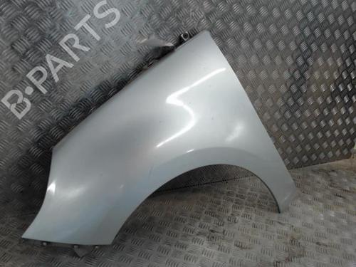 Left front fenders RENAULT SCÉNIC III (JZ0/1_) 1.5 dCi | BP23051925C41 
