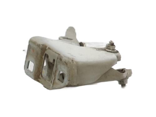 Hinge/Door check strap FIAT PANDA (312_, 319_) 1.2 (312PXA1A) | BP31252507C146