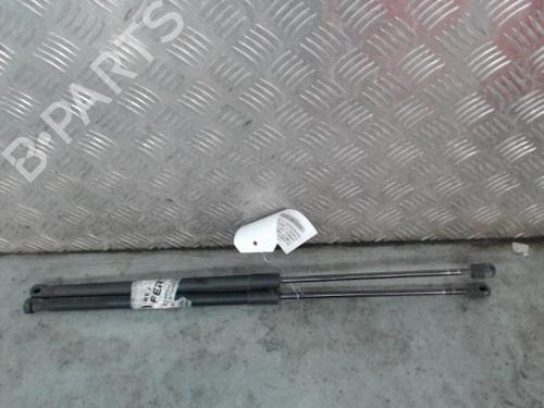 tailgate-lift-support-ford-c-max-dm2-2007-2008-2009-2010-26431131 main image