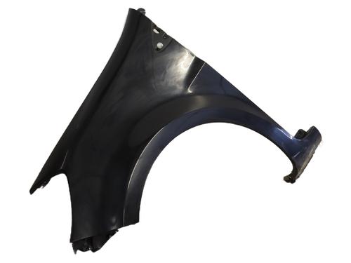 Left front fenders RENAULT CLIO III (BR0/1, CR0/1) 1.5 dCi (BR17, CR17) | BP26929486C41 