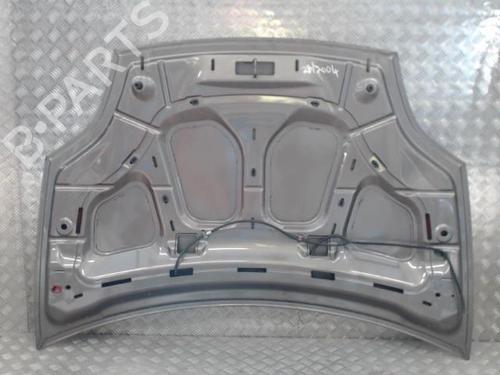 Used Hood FIAT BRAVO II (198_) 1.6 D Multijet (198AXL1B) (120 hp) 23838792