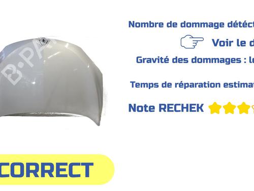 Hood RENAULT MEGANE III Coupe (DZ0/1_) 1.9 dCi (DZ0N, DZ0J, DZ1J, DZ1K) | BP29451842C1 