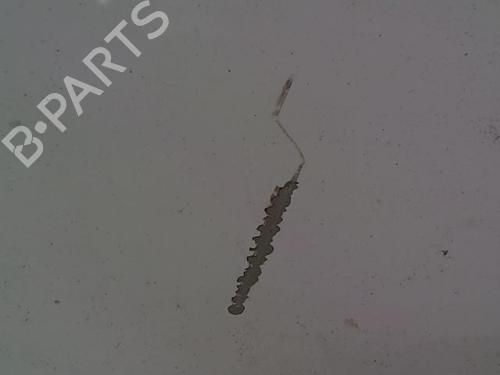 Hood RENAULT CLIO III (BR0/1, CR0/1) 1.5 dCi | BP23051970C1 