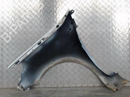 Right front fenders RENAULT CLIO III (BR0/1, CR0/1) 1.5 dCi (C/BR0G, C/BR1G) | BP29477065C42 