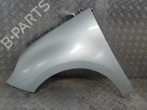 Used Left front fenders RENAULT SCÉNIC III (JZ0/1_) 1.5 dCi (106 hp) 23051925