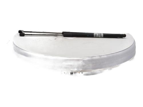 Tailgate lift support PEUGEOT 5008 (0U_, 0E_) 1.6 HDi | BP27374689C138