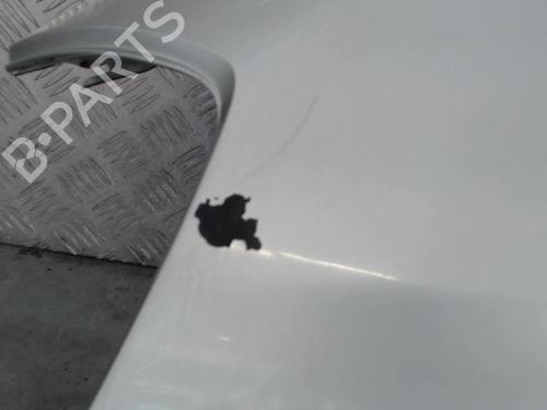 Left front fenders RENAULT CLIO III (BR0/1, CR0/1) 1.5 dCi (BR17, CR17) | BP30497660C41