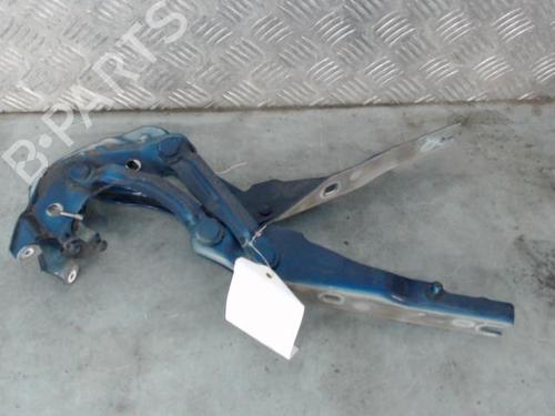 Hinge/Door check strap AUDI A1 (8X1, 8XK) 1.6 TDI | BP25593913C146