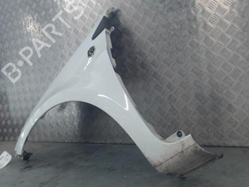 Left front fenders RENAULT CLIO III Grandtour (KR0/1_) 1.5 dCi (KR0G) | BP29428368C41 