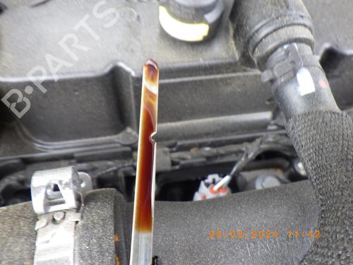 Dør venstre bagtil RENAULT CLIO V (B7_) 1.0 LPG (B7MT) | BP39215554C4 - Image 5