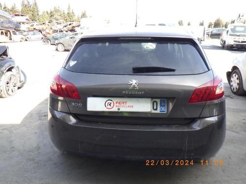 Tailgate PEUGEOT 308 II (LB_, LP_, LW_, LH_, L3_) 1.6 BlueHDi 120 | BP23836049C6