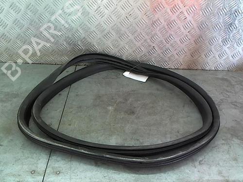 rubber-door-seal-renault-rafale-coupe-dgm_-2023-23053164 main image