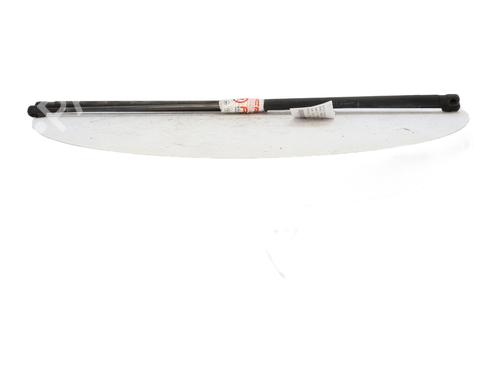 Tailgate lift support RENAULT MEGANE III Coupe (DZ0/1_) 1.9 dCi (DZ0N, DZ0J, DZ1J, DZ1K) | BP29340019C138 