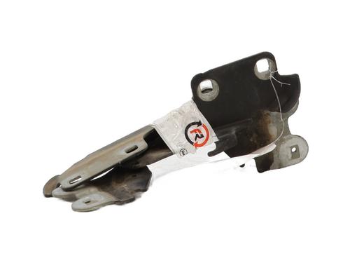 Hinge/Door check strap RENAULT LAGUNA II Grandtour (KG0/1_) 1.9 dCi | BP29323901C146 