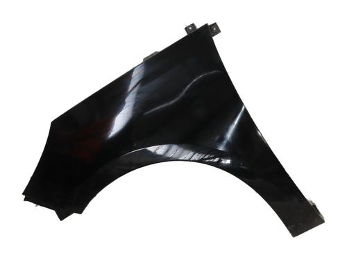 Used Left front fenders RENAULT SCÉNIC III (JZ0/1_) 1.5 dCi (JZ02, JZ0R) (95 hp) 32365325