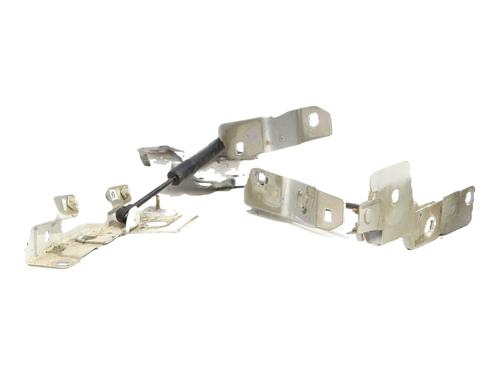 Hinge/Door check strap RENAULT ZOE (BFM_) ZOE | BP36555652C146 - Image 3
