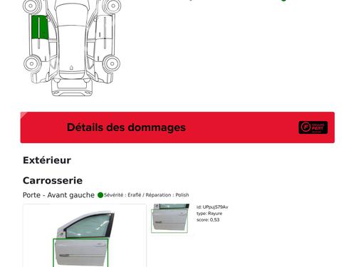 Left front door RENAULT CLIO III Grandtour (KR0/1_) 1.5 dCi (KR0G) | BP29304287C2