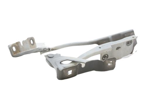 Hinge/Door check strap RENAULT CLIO V (B7_) 1.5 Blue dCi 85 (B7AG) | BP36221950C146 - Image 2
