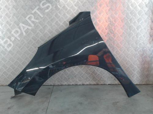 Used Left front fenders PEUGEOT 207 (WA_, WC_) 1.6 HDi (92 hp) 30129021