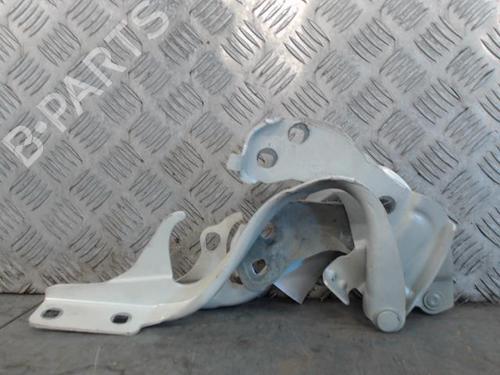 Hinge/Door check strap FIAT 500 (312_) 1.2 (312AXA1A) | BP29519760C146 