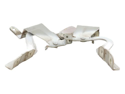 hingedoor-check-strap-renault-clio-iv-bh_-2012-2013-2014-2015-2016-2017-2018-2019-2020-2021-32174345 main image