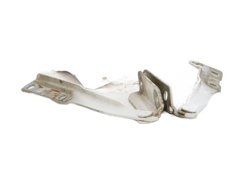 Hinge/Door check strap DACIA SANDERO 1.5 dCi | BP29530083C146 