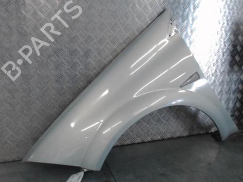 Left front fenders RENAULT MEGANE II Estate (KM0/1_) 1.5 dCi (KM02, KM13) | BP30046042C41 