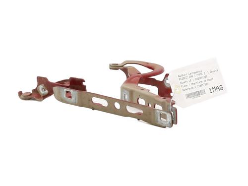 Used Hinge/Door check strap PEUGEOT 208 I (CA_, CC_) 1.0 VTi (68 hp) 32024309