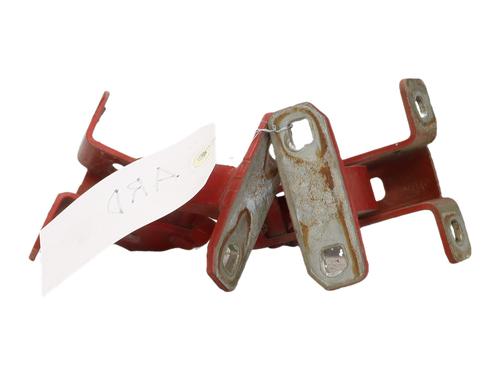 Hinge/Door check strap DACIA LOGAN EXPRESS (FS_) 1.4 | BP37246755C146 - Image 3