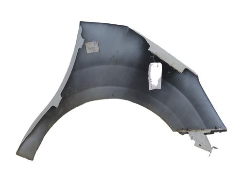 left-front-fenders-citroen-c3-ii-sc_-2009-39042663 main image
