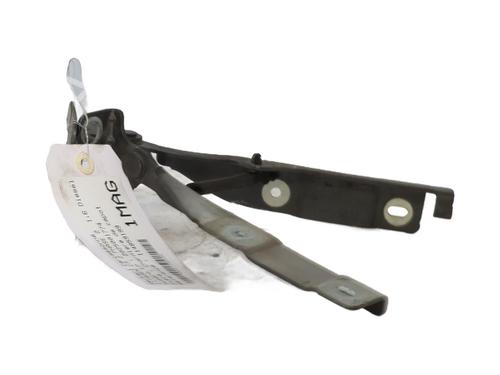 Hinge/Door check strap CITROËN C3 II (SC_) 1.6 BlueHDi 100 | BP30176095C146 