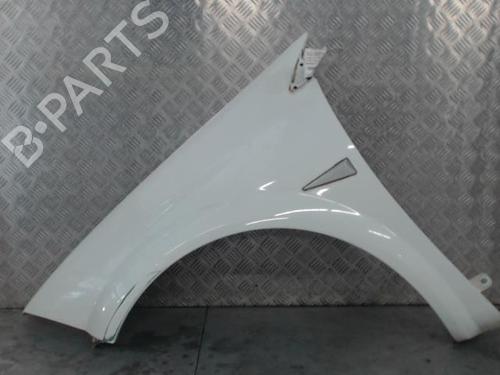 Used Left front fenders RENAULT MEGANE II (BM0/1_, CM0/1_) 1.5 dCi (BM02, BM13, BM2A, CM02, CM13) (101 hp) 29253652