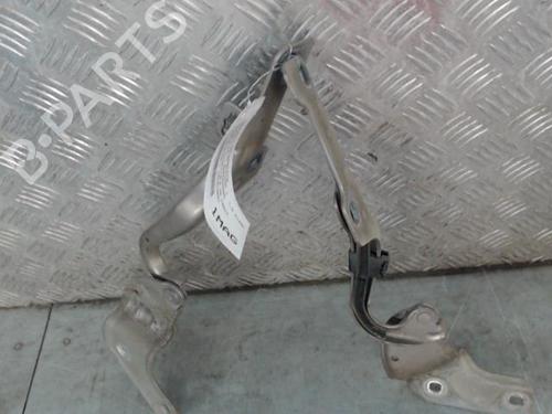 Hinge/Door check strap RENAULT CLIO III (BR0/1, CR0/1) 1.5 dCi (BR17, CR17) | BP27699170C146 