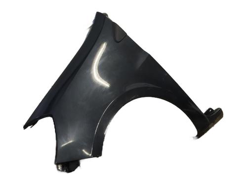 Left front fenders RENAULT CLIO III (BR0/1, CR0/1) 1.5 dCi (BR17, CR17) | BP25653068C41 