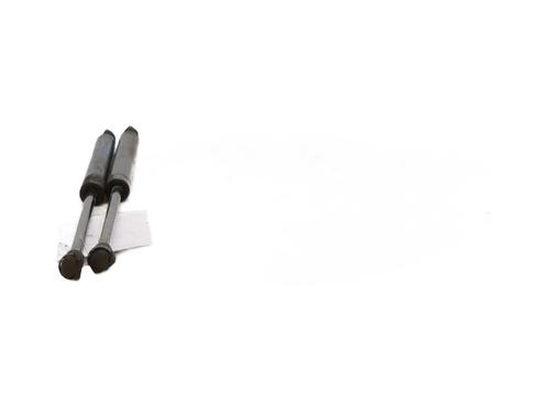 Tailgate lift support FIAT PANDA (169_) 1.2 (169.AXB11, 169.AXB1A) | BP27219929C138 