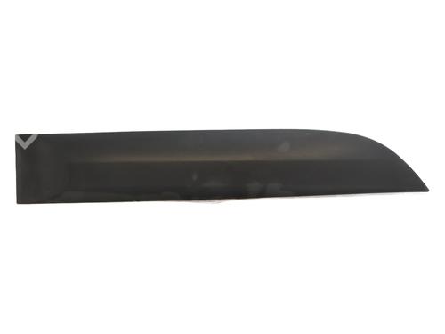 door-moulding-trim-renault-megane-iii-hatchback-bz01_-b3_-2008-31833776 main image