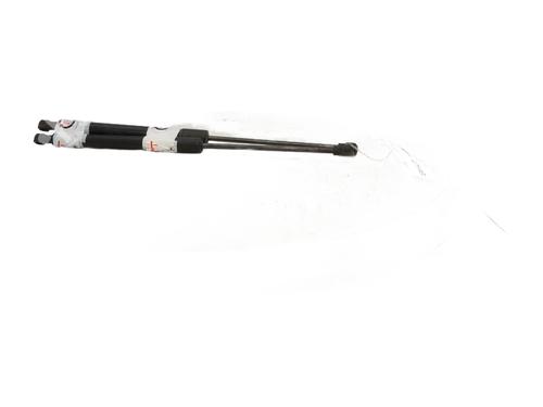 Tailgate lift support RENAULT ZOE (BFM_) ZOE | BP29209363C138 