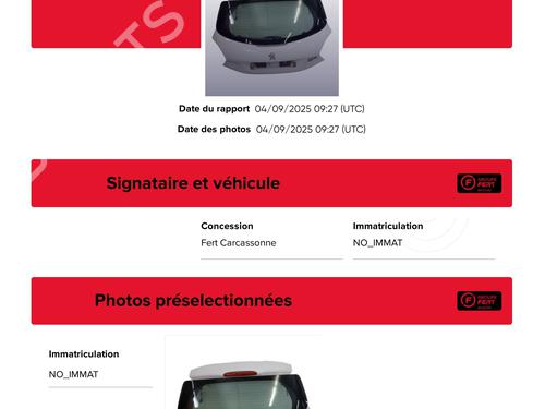 Tailgate PEUGEOT 208 I (CA_, CC_) 1.6 HDi | BP27663370C6