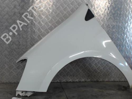 Left front fenders RENAULT CLIO III (BR0/1, CR0/1) 1.5 dCi (C/BR0G, C/BR1G) | BP29477066C41 