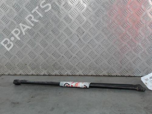 Used Tailgate lift support RENAULT SCÉNIC II (JM0/1_) 1.9 dCi (JM0G, JM12, JM1G, JM2C) (120 hp) 28625514