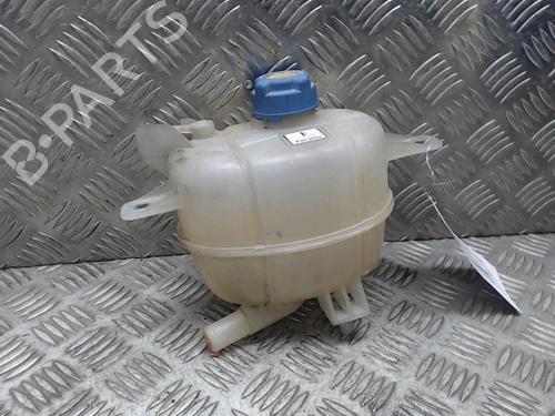 Used Expansion tank CITROËN NEMO Box Body/MPV (AA_) 1.3 HDi 75 (75 hp) 23048631