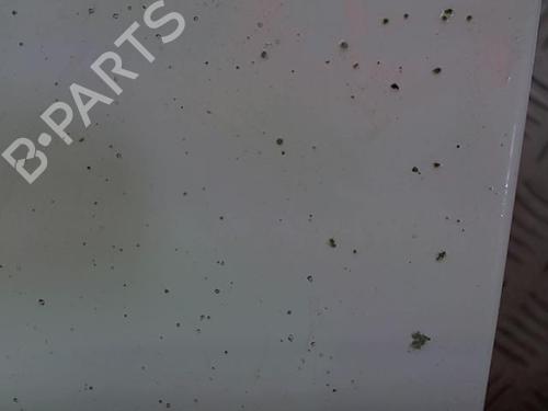 Left front fenders NISSAN INTERSTAR Van (X70) dCi 120 | BP23210515C41 