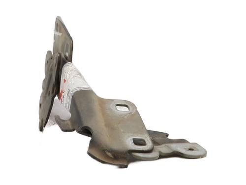 Hinge/Door check strap RENAULT LAGUNA II Grandtour (KG0/1_) 1.9 dCi | BP29323901C146 