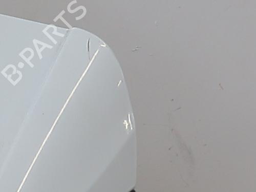 Tailgate RENAULT MEGANE IV Hatchback (B9A/M/N_) 1.5 dCi 110 (B9A3) | BP30129013C6