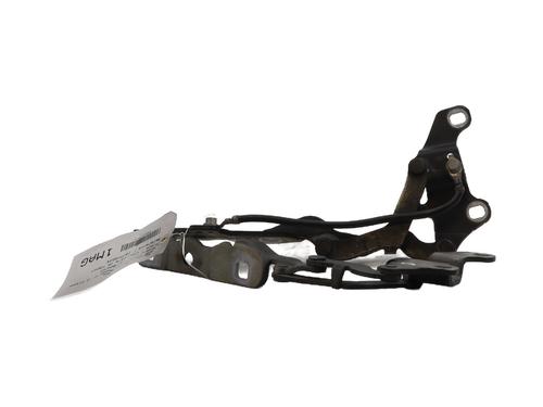 Hinge/Door check strap BMW 1 (E87) 120 d | BP27613088C146 