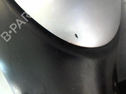 Right mirror CITROËN XSARA PICASSO (N68) 2.0 HDi | BP24226491C27 