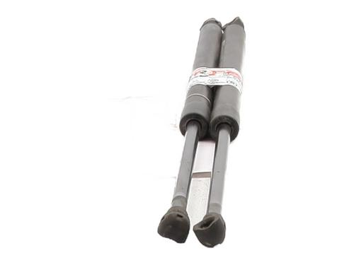 Used Tailgate lift support RENAULT SCÉNIC III (JZ0/1_) 1.5 dCi (110 hp) 26878160
