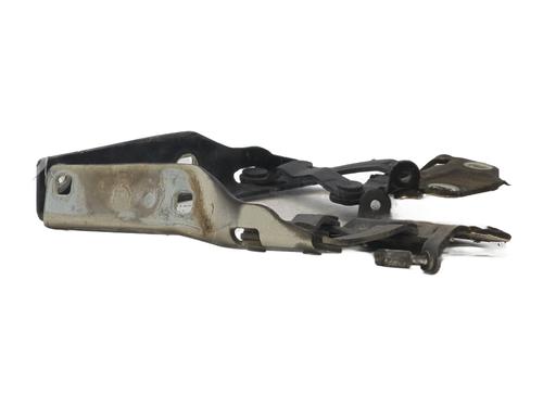 Hinge/Door check strap VW PASSAT B6 (3C2) 2.0 TDI 16V | BP32477929C146