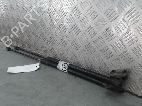 Tailgate lift support OPEL CORSA D (S07) 1.2 (L08, L68) | BP29287236C138 